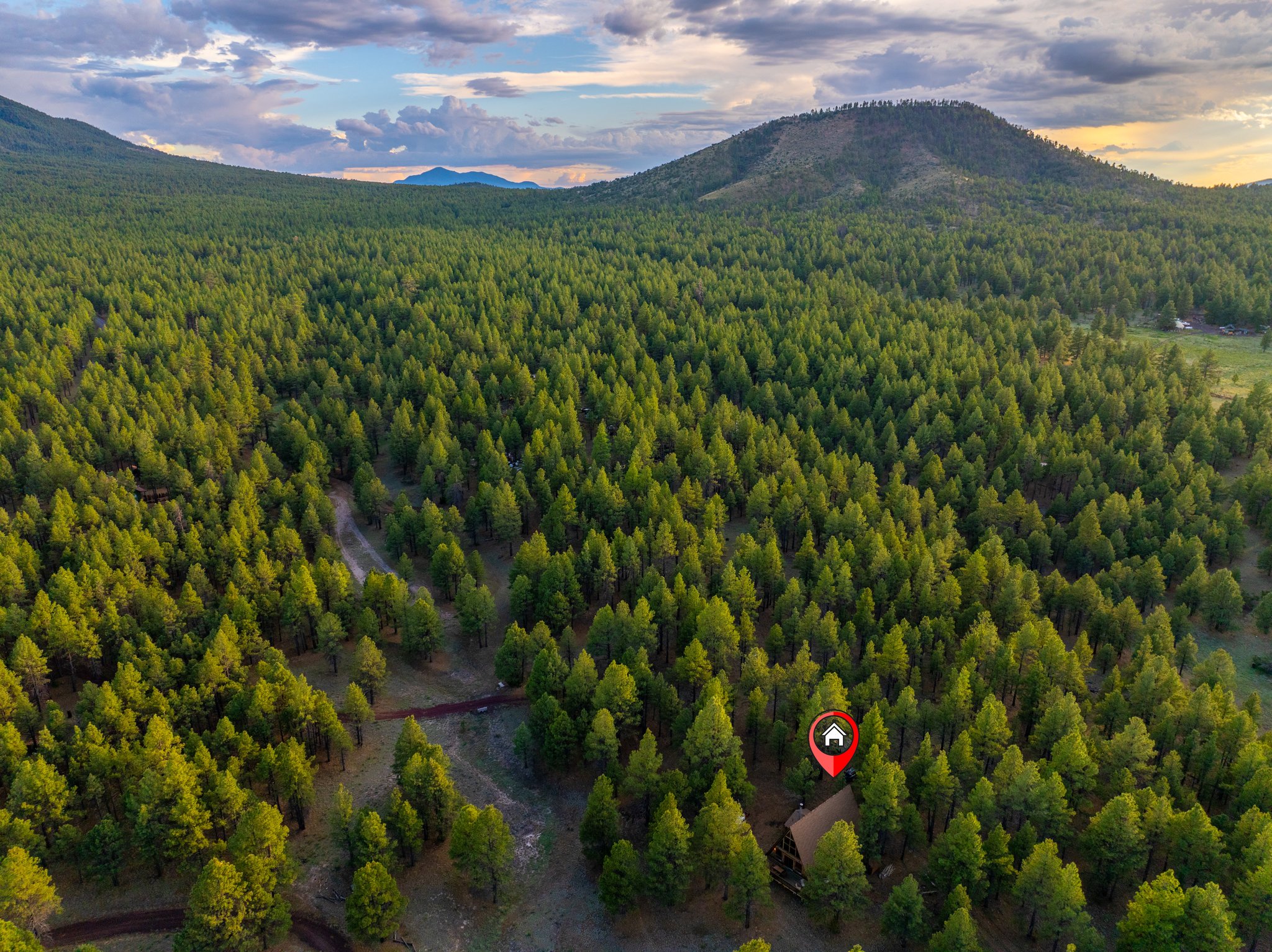Aerial Forest View